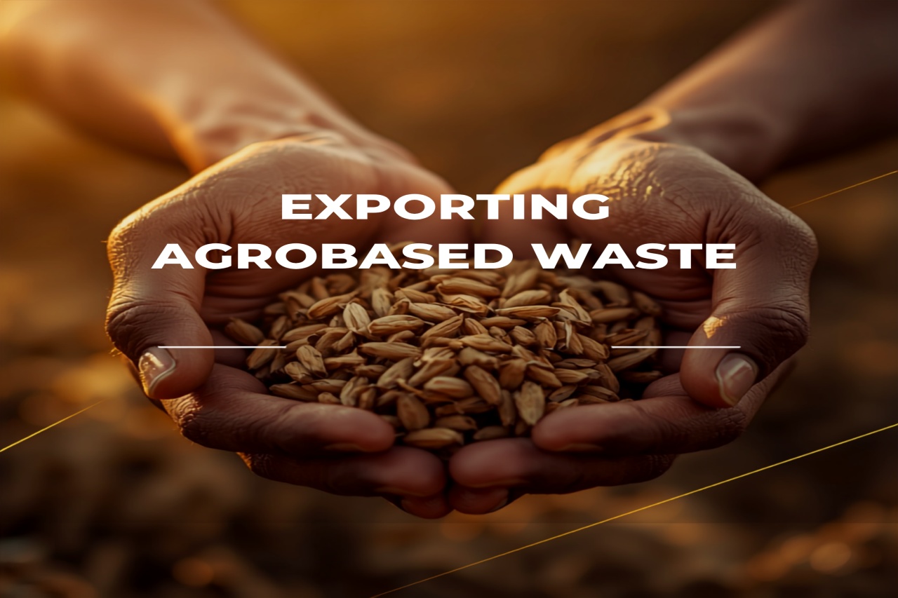 Recycling and Exporting