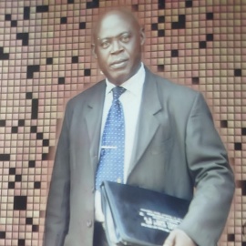Prof I. J Okeke